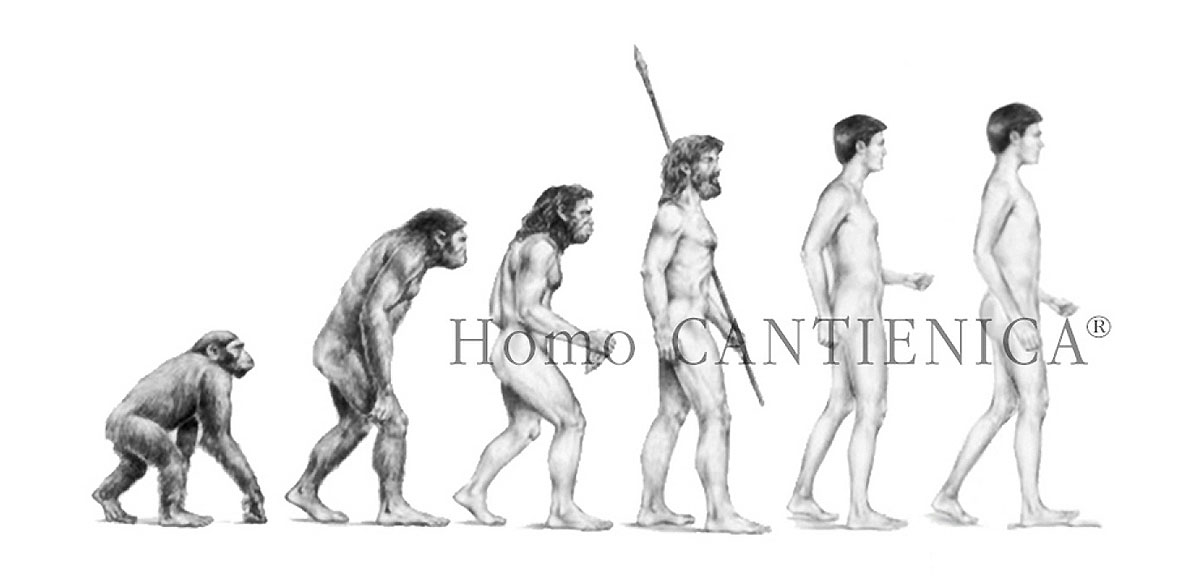Der Homo CANTIENICA®   -   © CANTIENICA AG 2014
